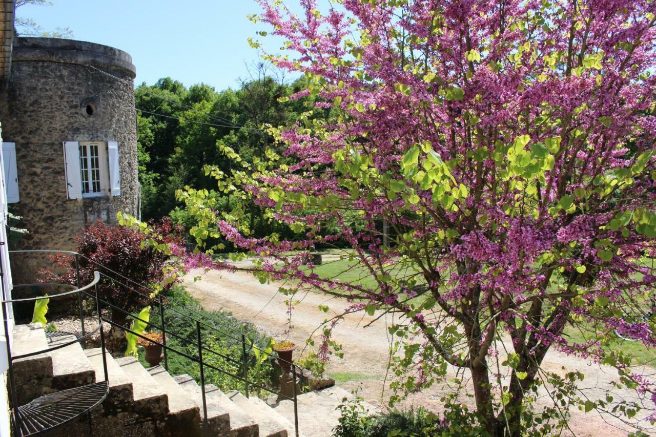 Bed and Breakfast Ancien Haras de la Tour Lamothe-Landerron Exterior foto